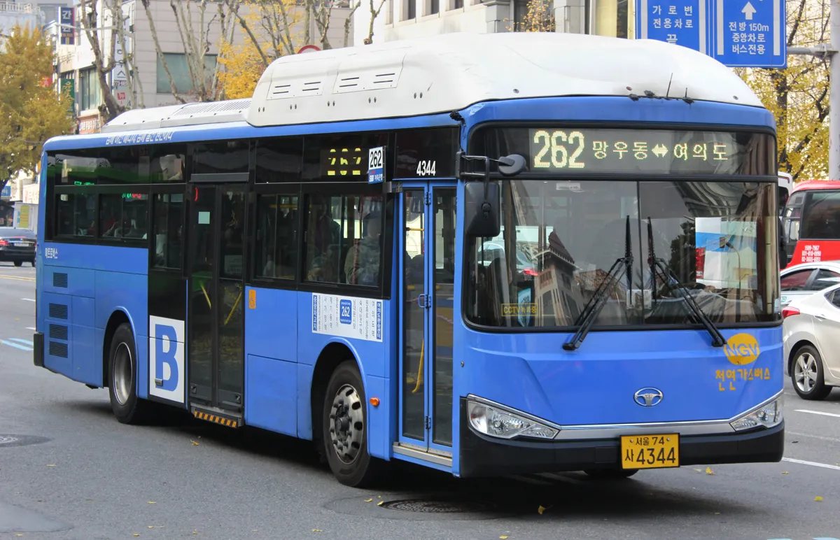 ソウルの青い幹線バス。前面と側面に路線番号「262」が表示されている