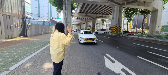 道路脇で手を挙げてタクシーを止める様子