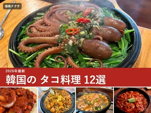 【2026年最新】韓国のタコ料理ガイド|ナクチ・チュクミ・ナッコプセ・サンナクチの違いと食べ方、ソウル・釜山のおすすめ12選