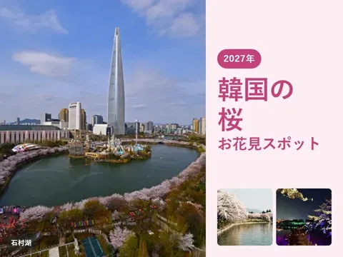 【2027年】韓国の桜の開花時期と名所|ソウル・釜山・慶州のお花見スポット