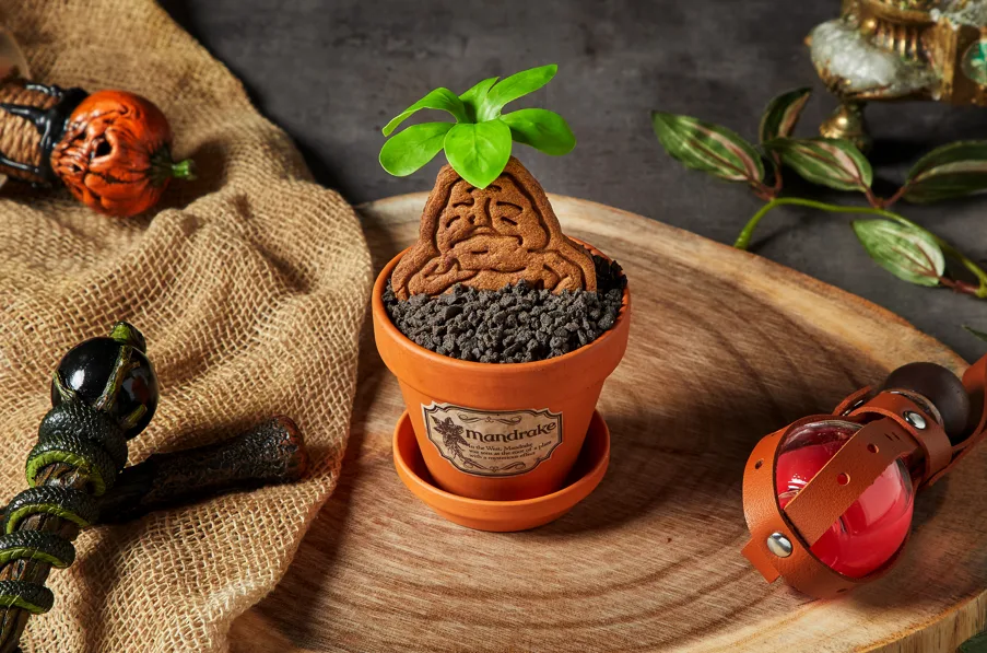 植木鉢に入ったマンドレイクケーキ
