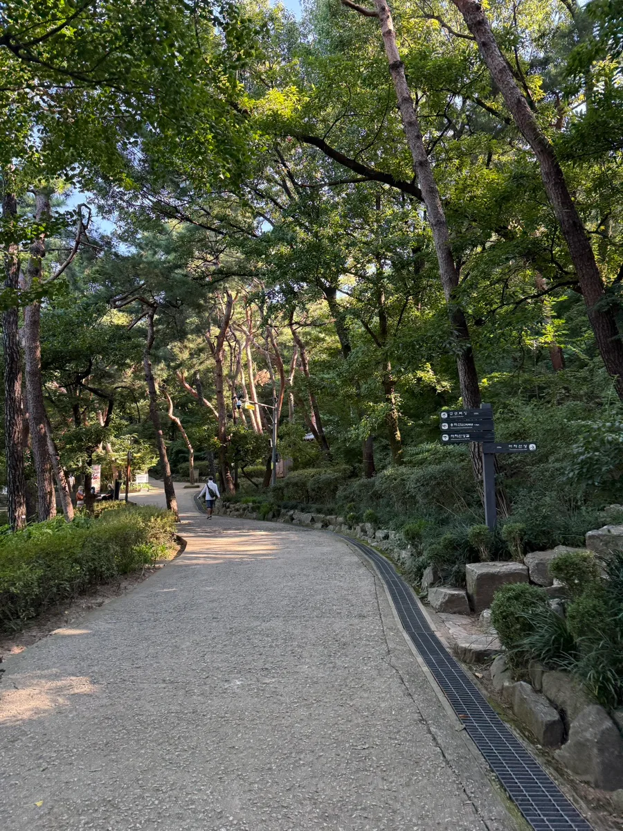 峨嵯山 — 木々に囲まれた山道