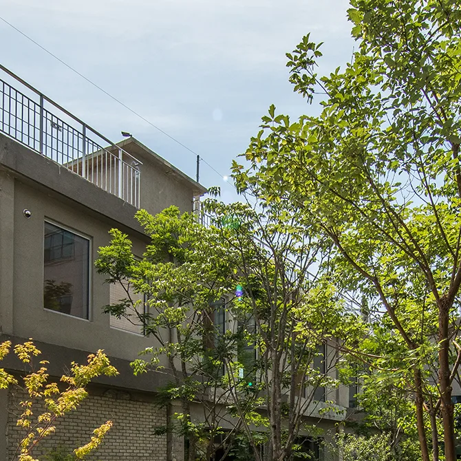 木々に包まれた灰色の建物