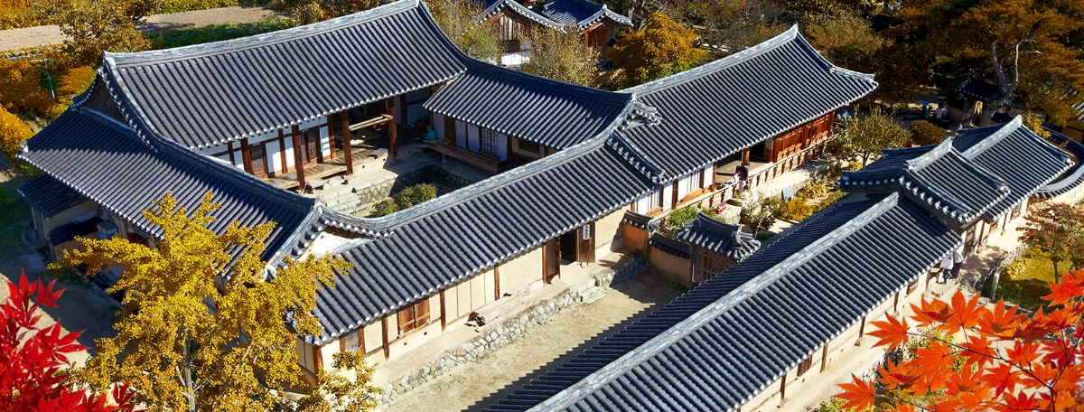 安東河回村 — 紅葉越しに望む瓦屋根の家々