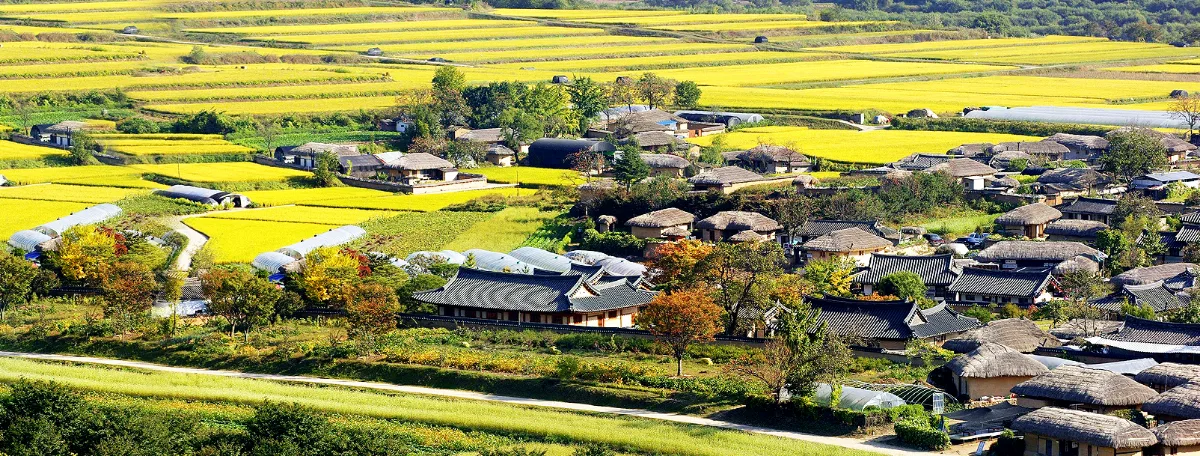 安東河回村
