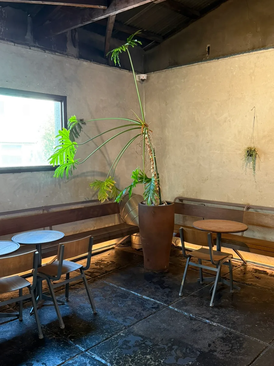 大鉢の植物を囲む客席