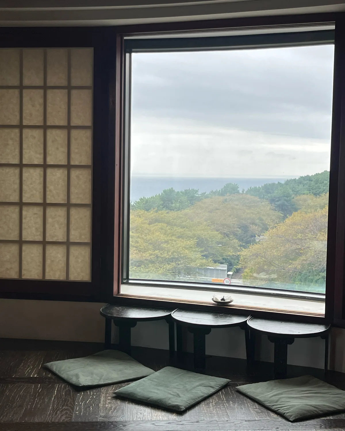 窓越しに見える海と山の緑