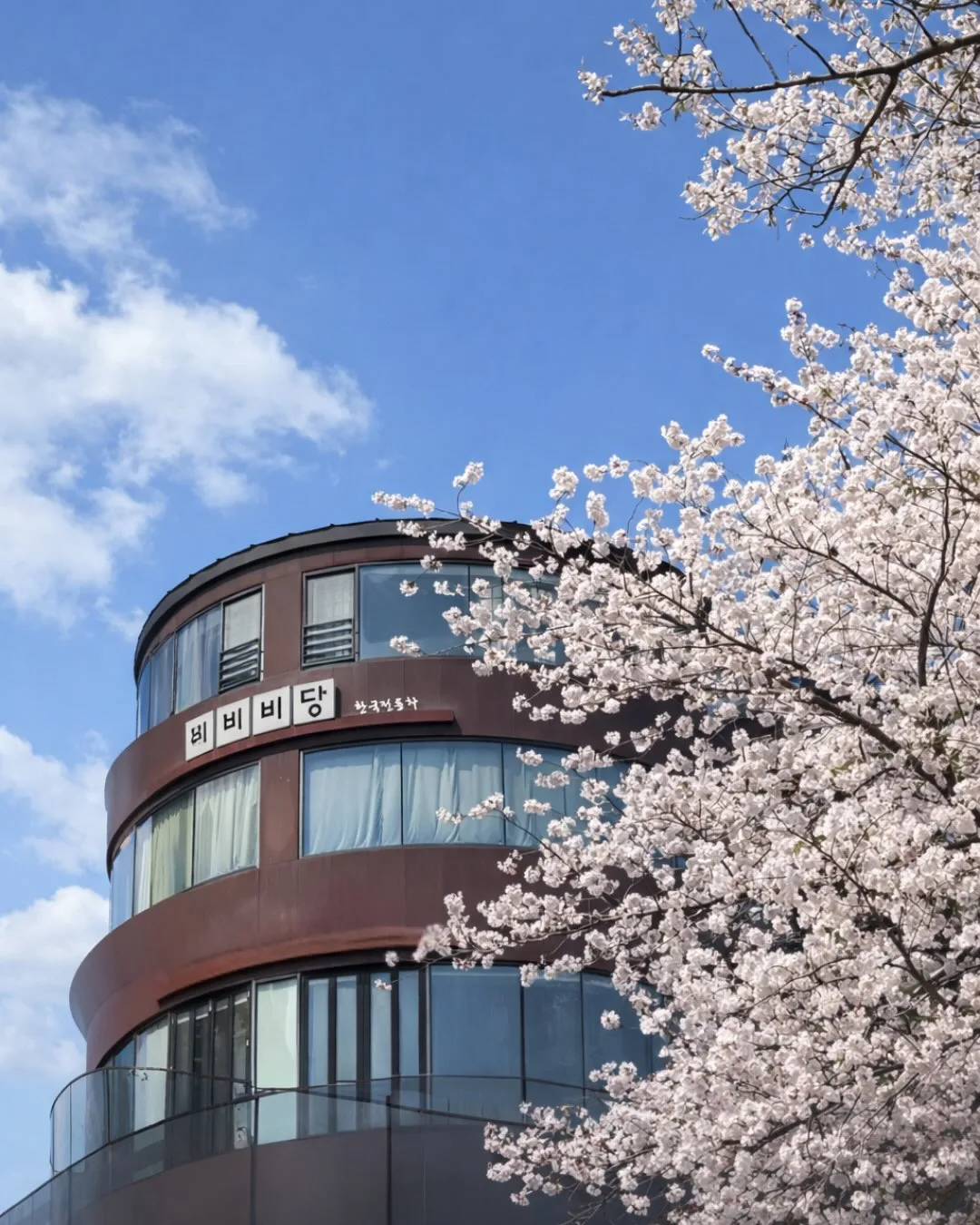 非非非堂 — 満開の桜と建物外観