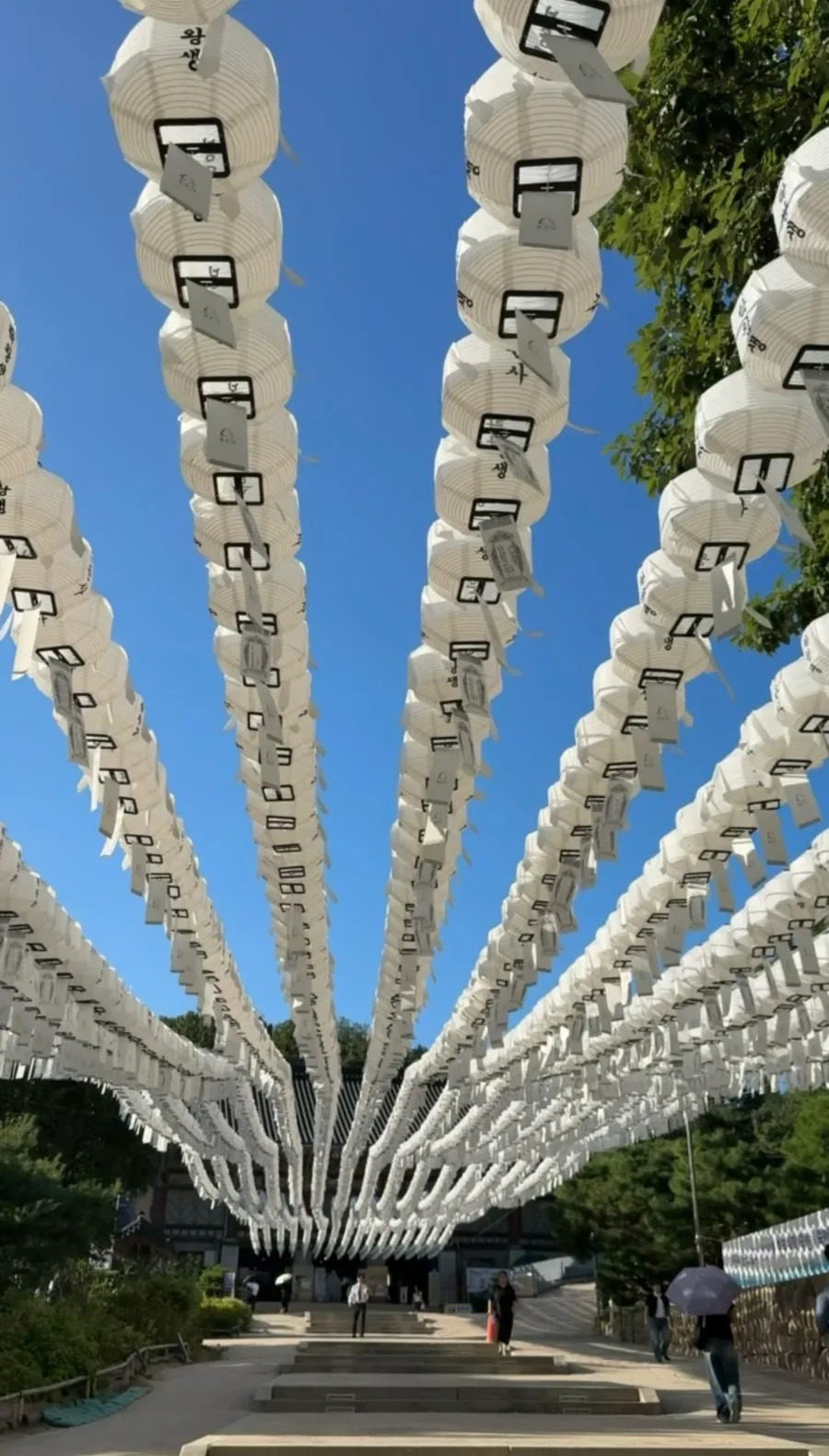 奉恩寺 — 青空へ連なる白い提灯