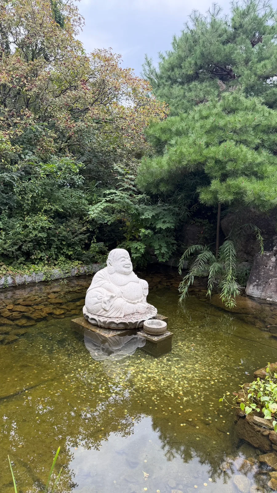 緑の池に座る石の布袋像