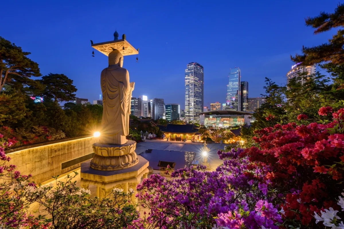 奉恩寺 — 大仏とツツジ越しの夜景