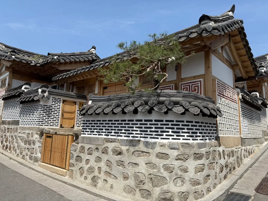 松を囲む韓屋の石塀
