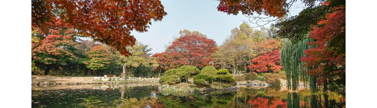 仏国寺 — 紅葉を映す庭園の池