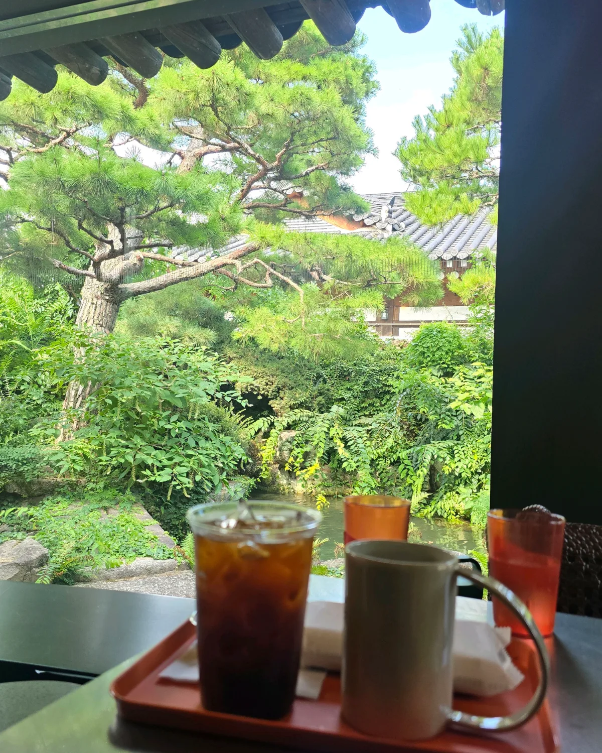 Cafe EYST 1779 — 飲み物を置いた席から望む庭