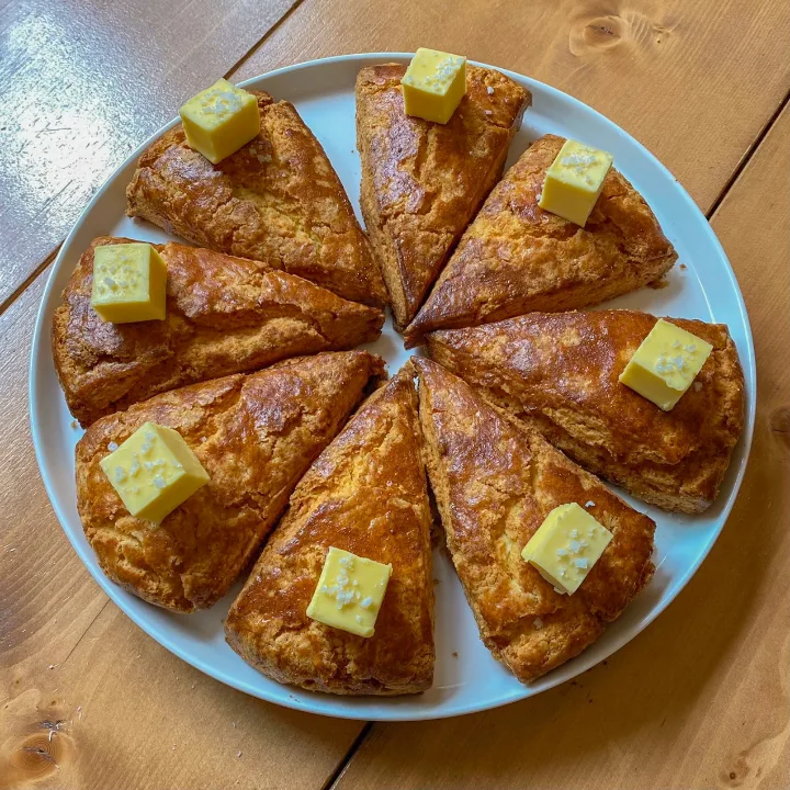 プレーンバタースコーン