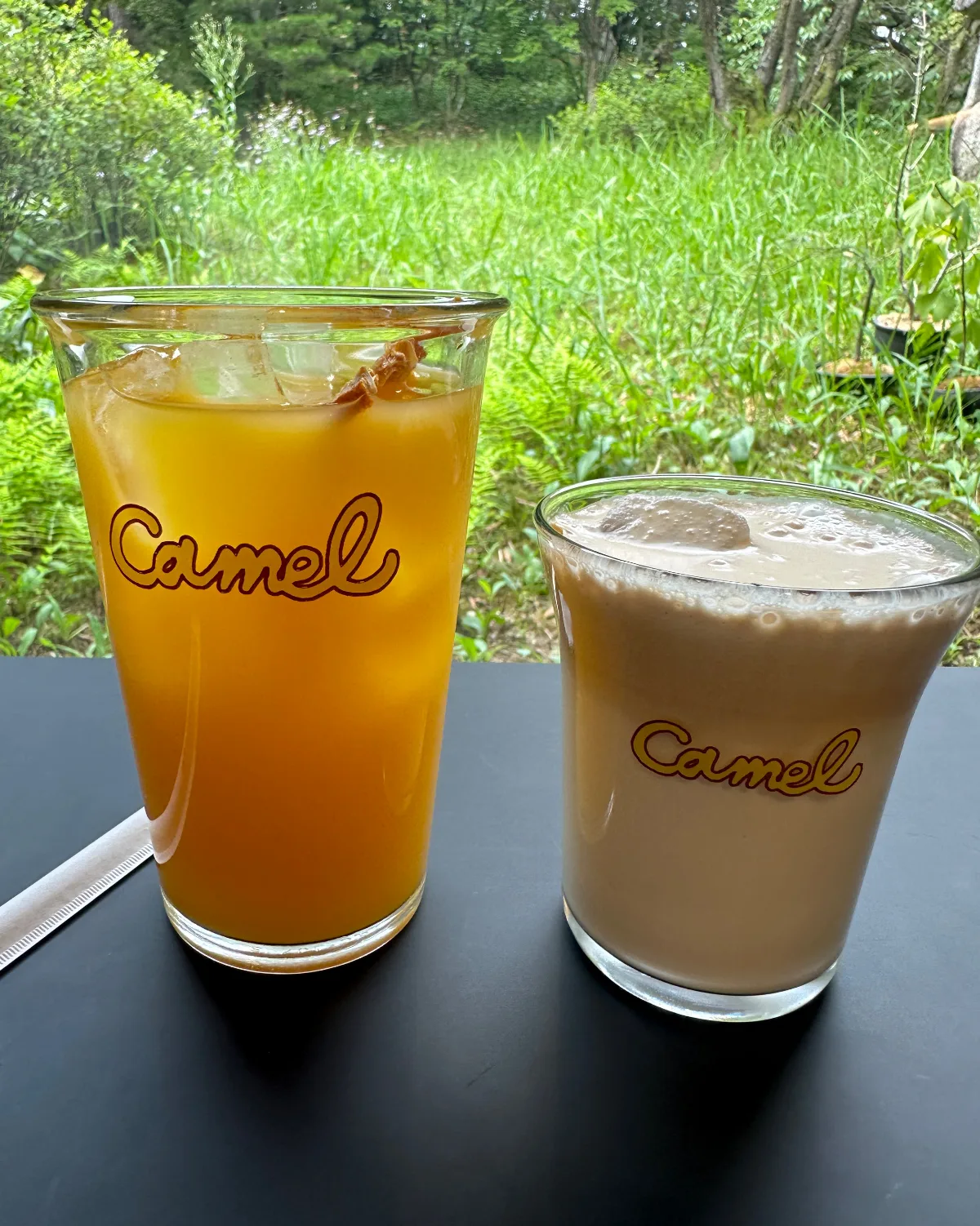 Camel COFFEE 島山1号店 — 緑を望む二杯のアイスドリンク