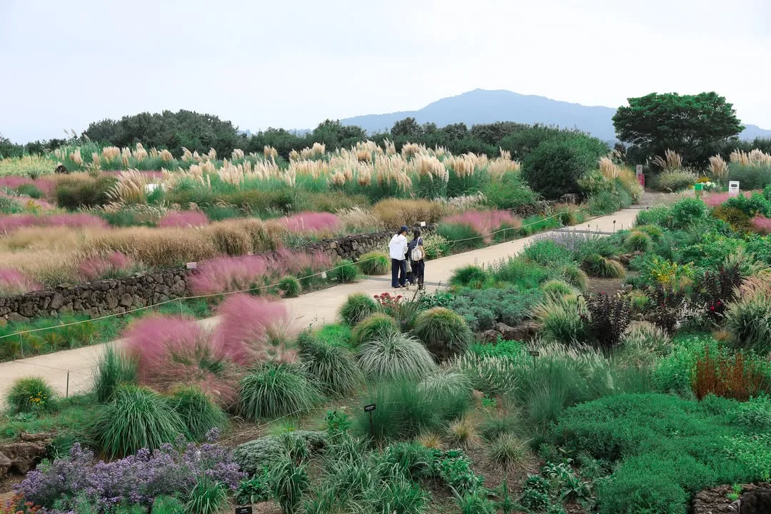 山を望む秋色の庭園