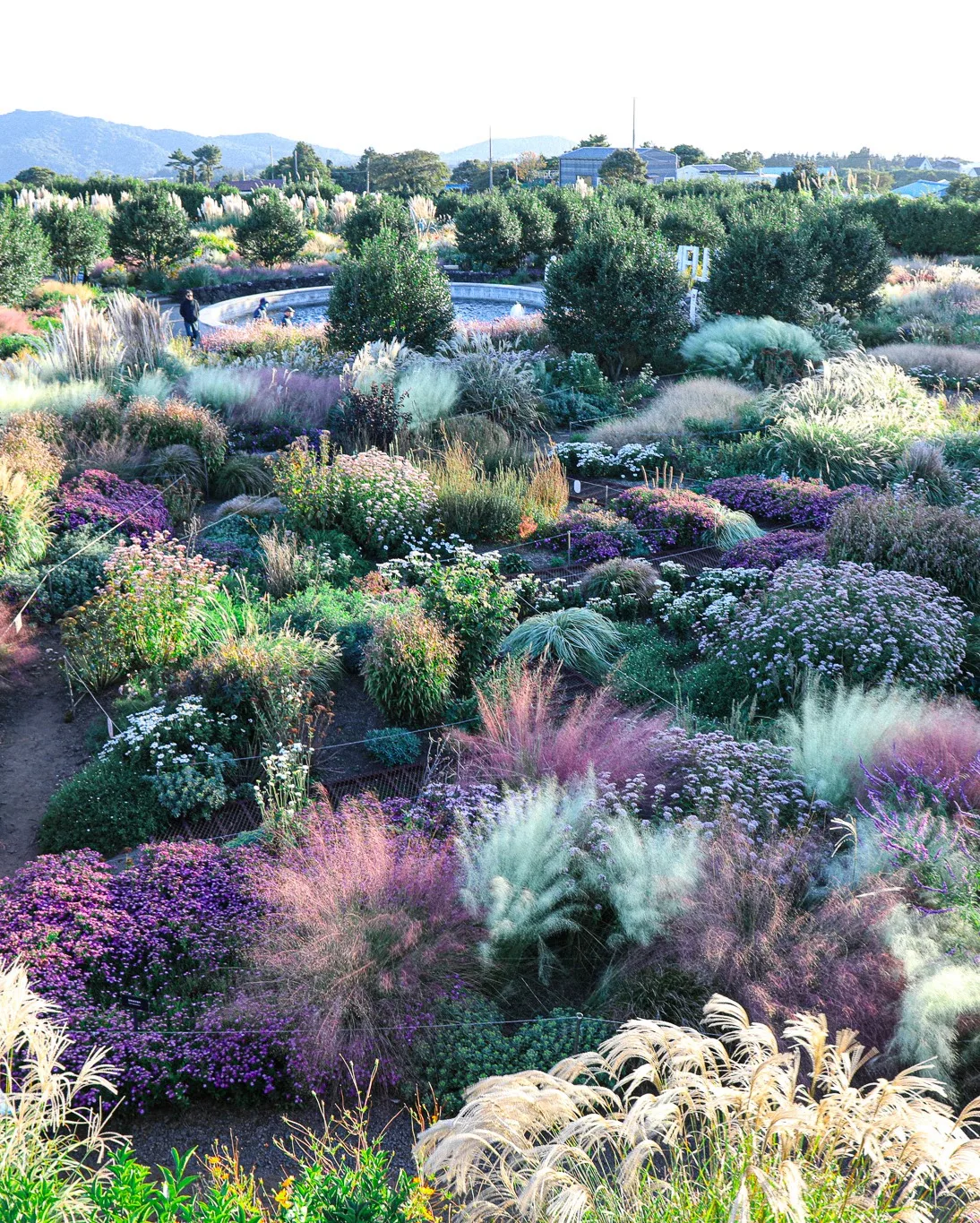 カメリアヒル — 秋色の花が広がる庭園