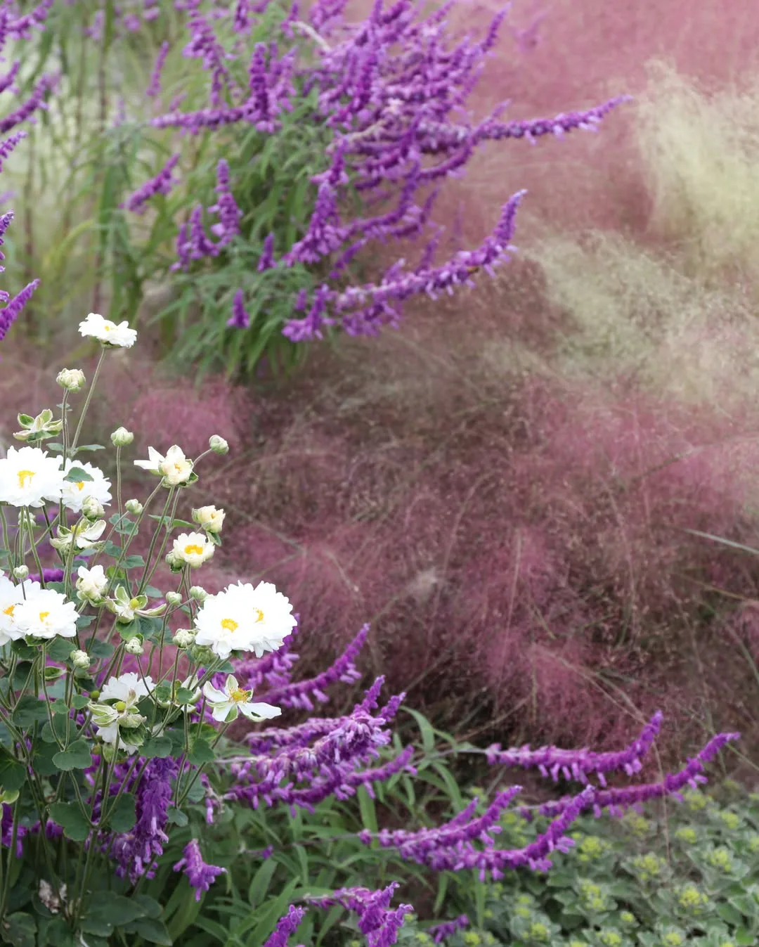 カメリアヒル — 紫と白の花が重なる花壇