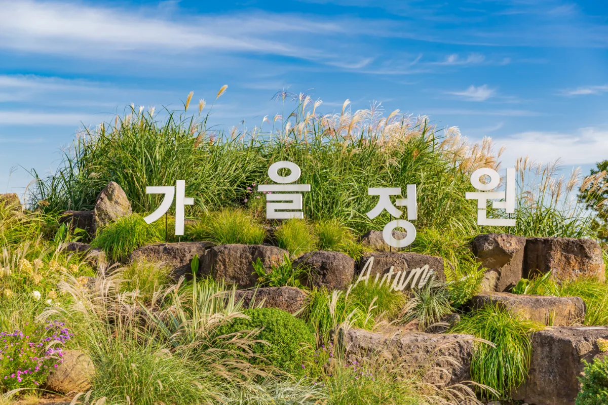 カメリアヒル — 青空と秋草の庭園サイン