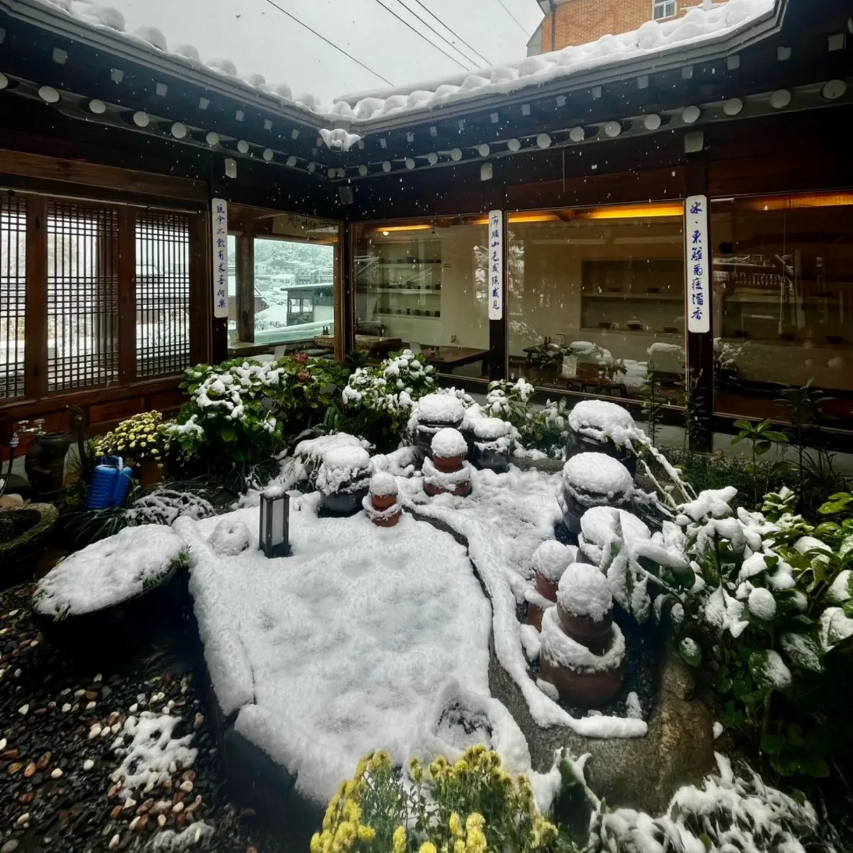 雪に包まれた中庭と縁側
