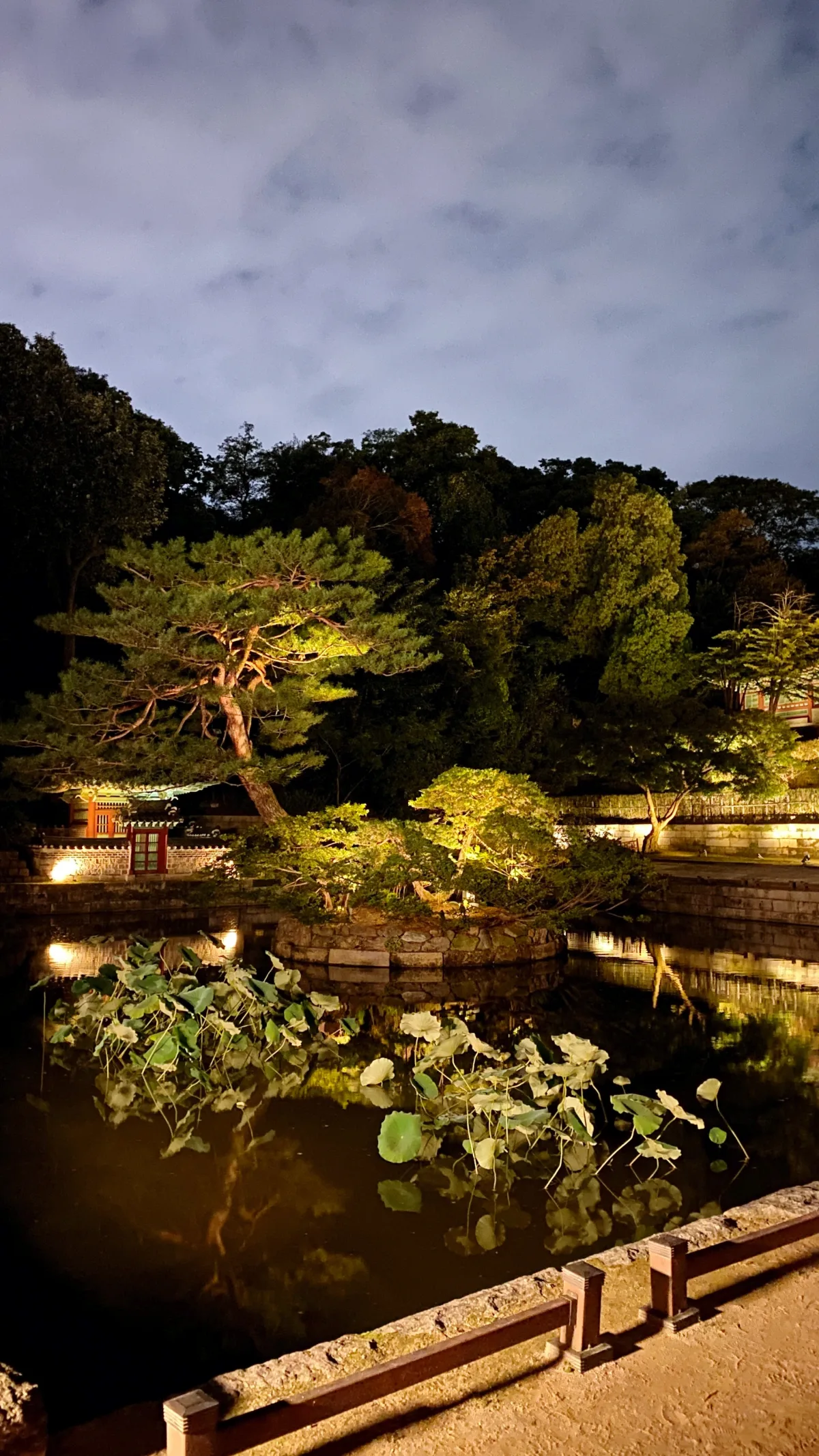 昌徳宮 — 夜の池に映る松と石島