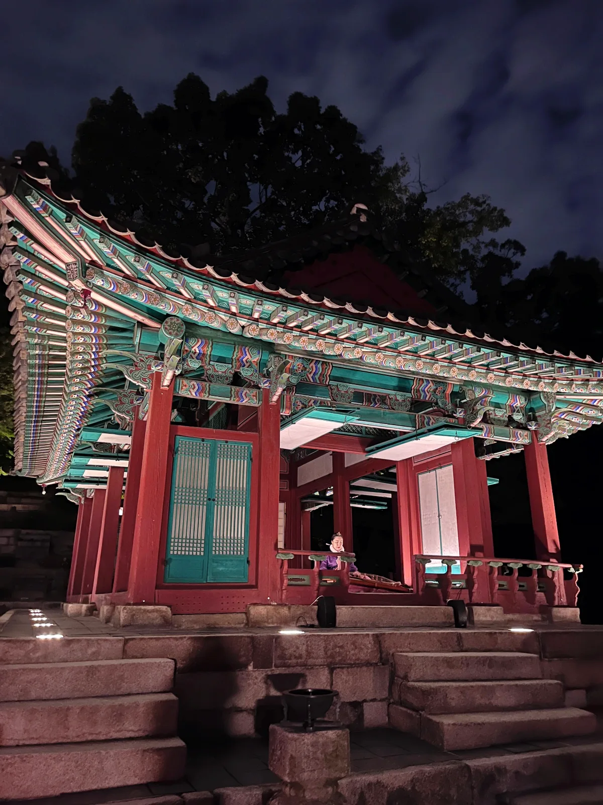 夜に照らされた彩色殿