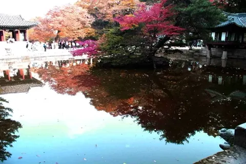 昌徳宮