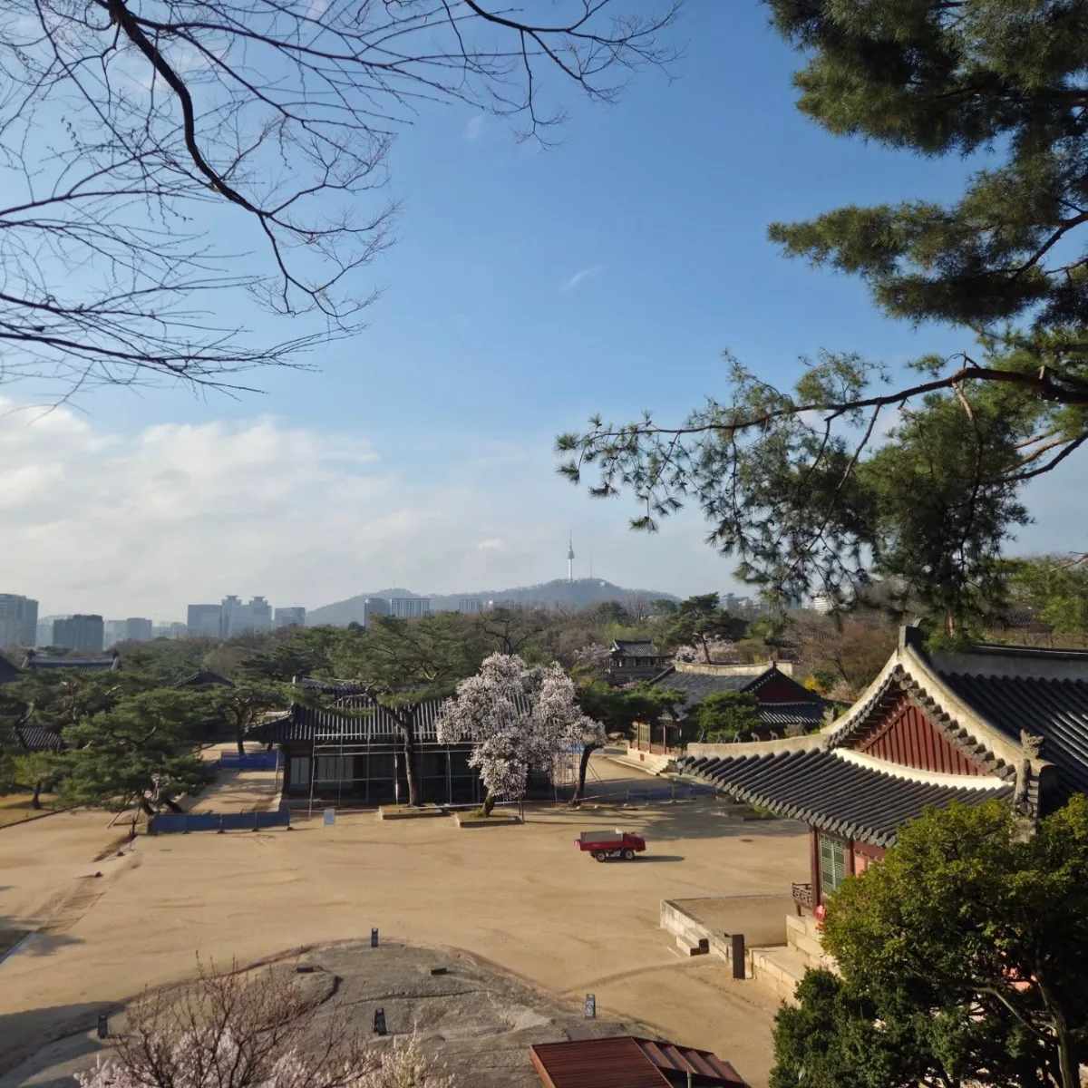宮殿群と南山タワー