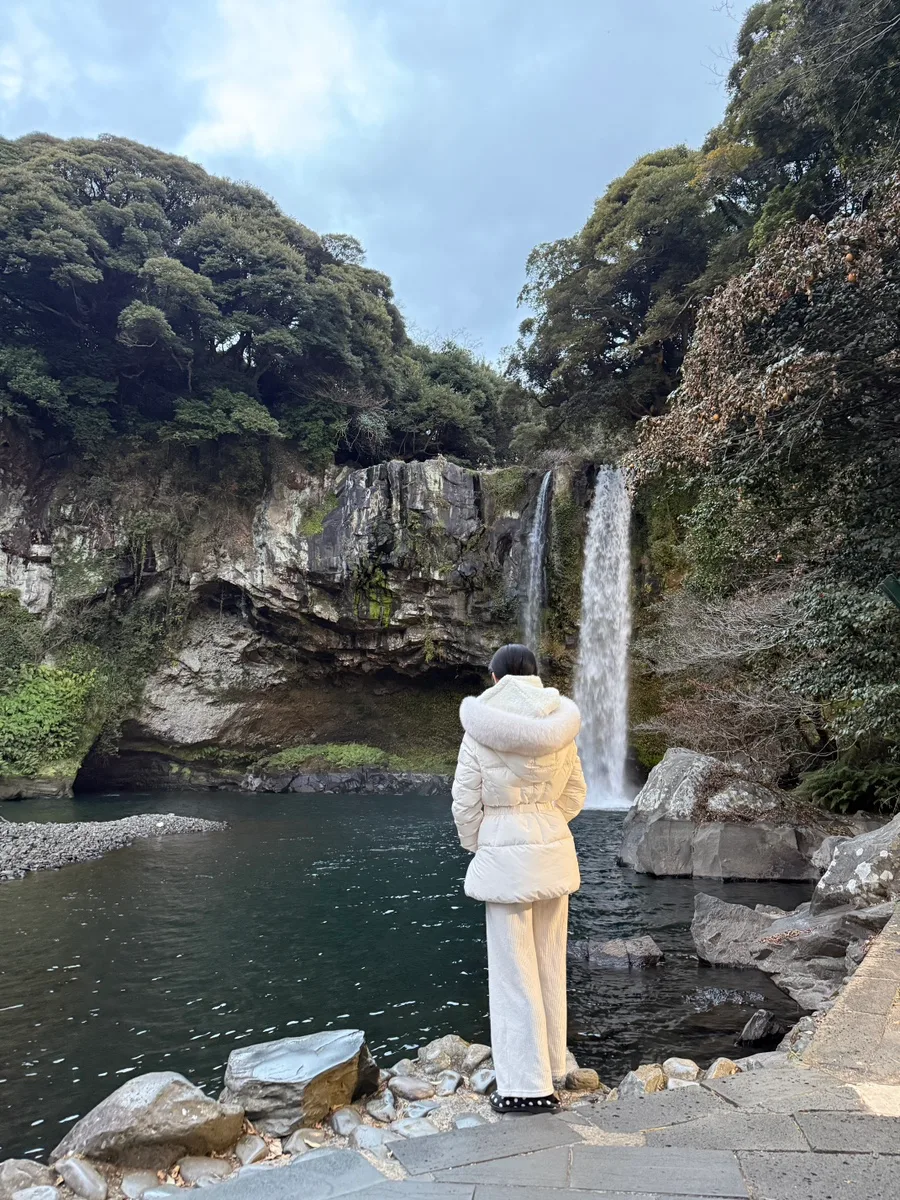 冬木立と滝を眺める人