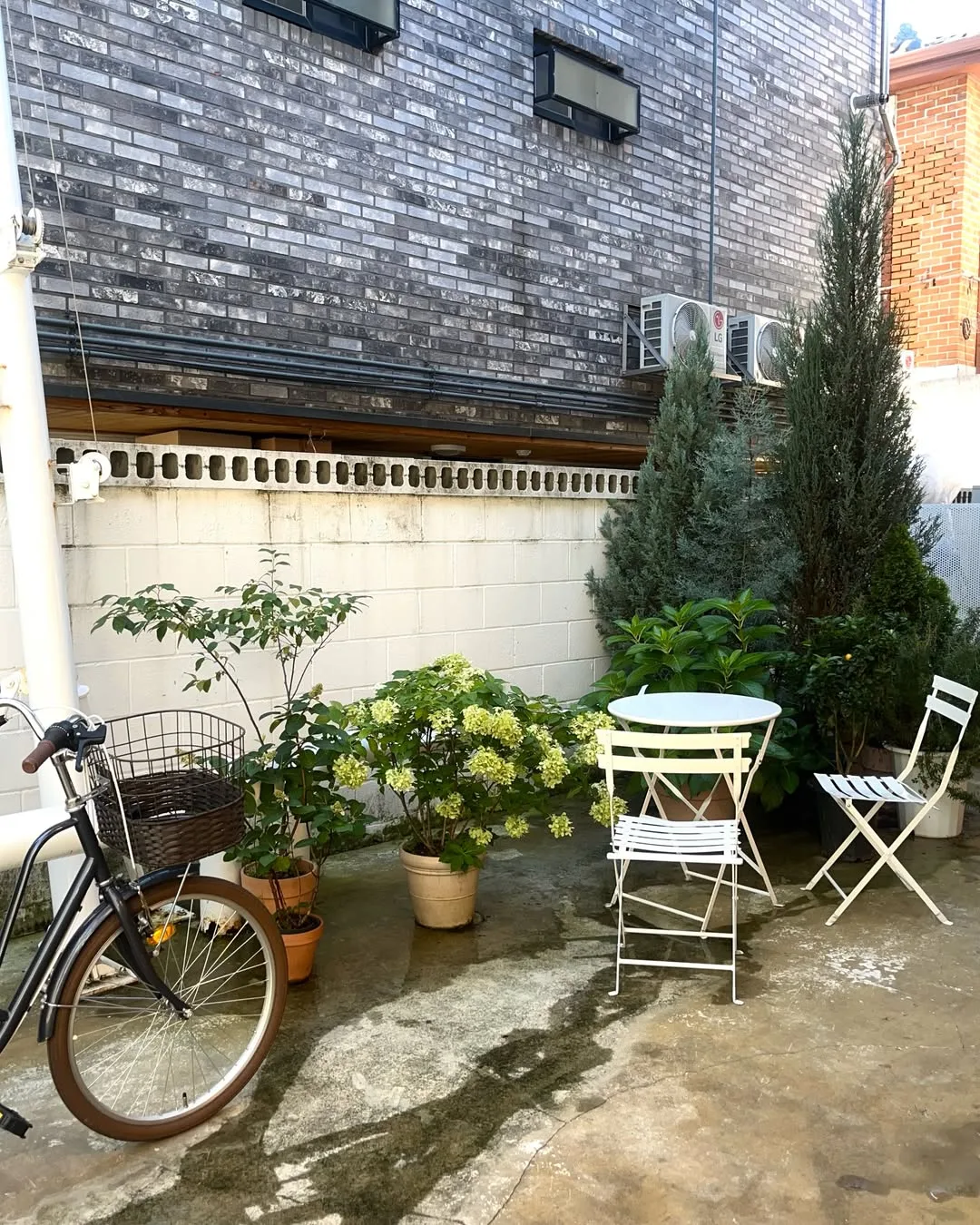 COFFEE LIBRE 延南店 — 自転車と白い椅子の中庭
