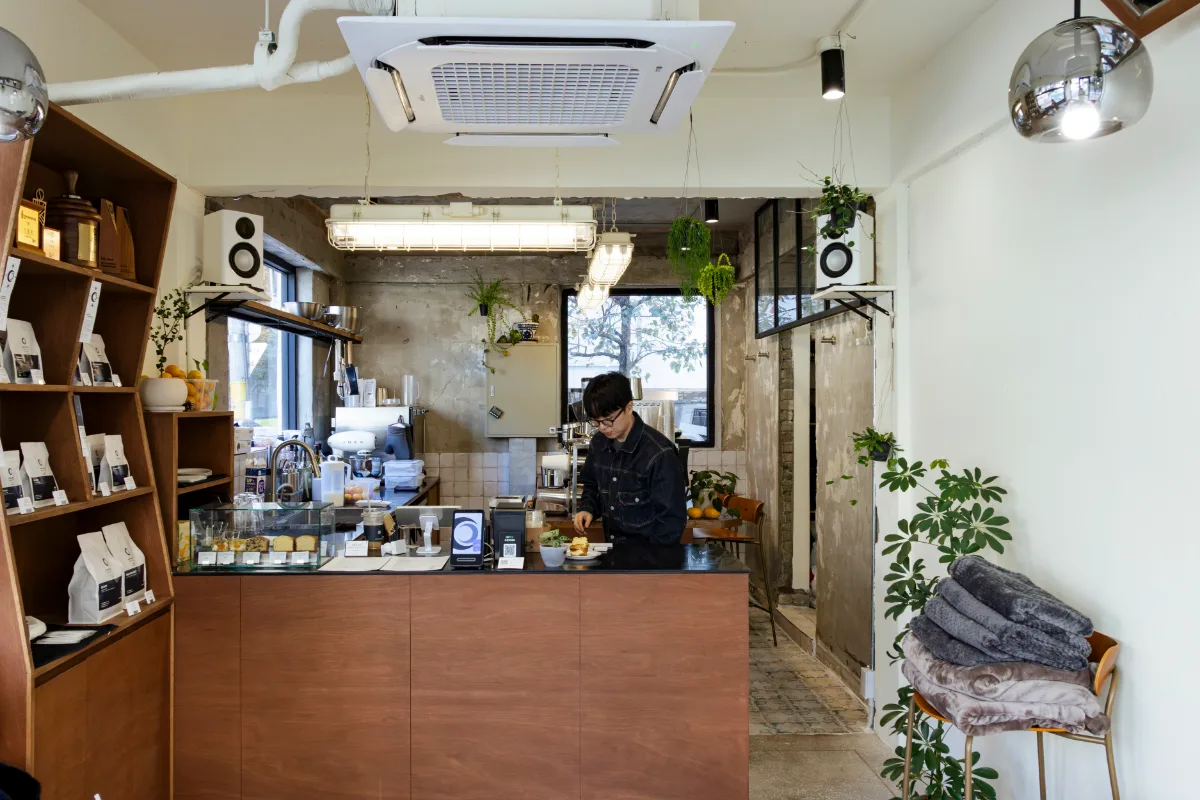 木製カウンターと植物の店内