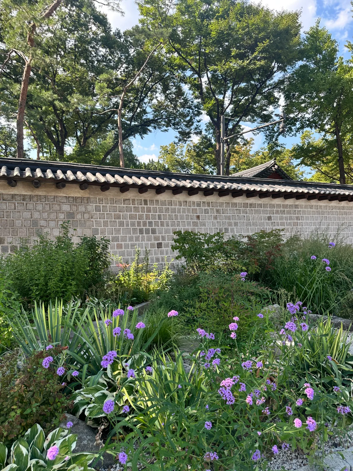 紫花が咲く石塀沿いの庭