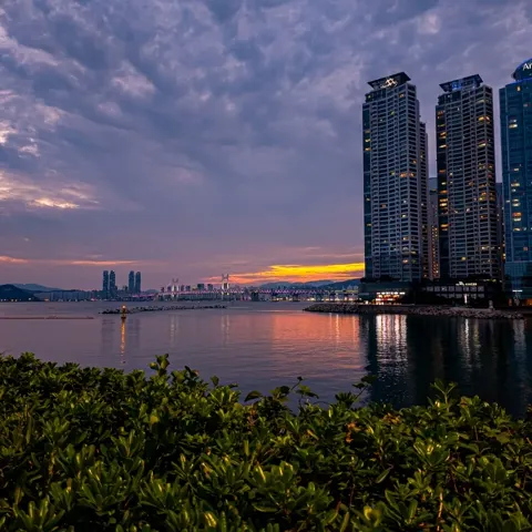 冬柏島