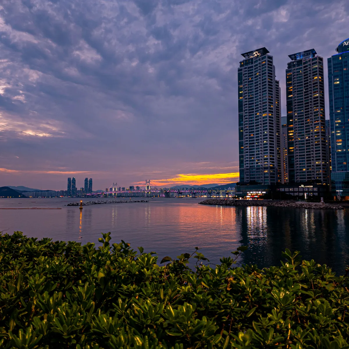 冬柏島