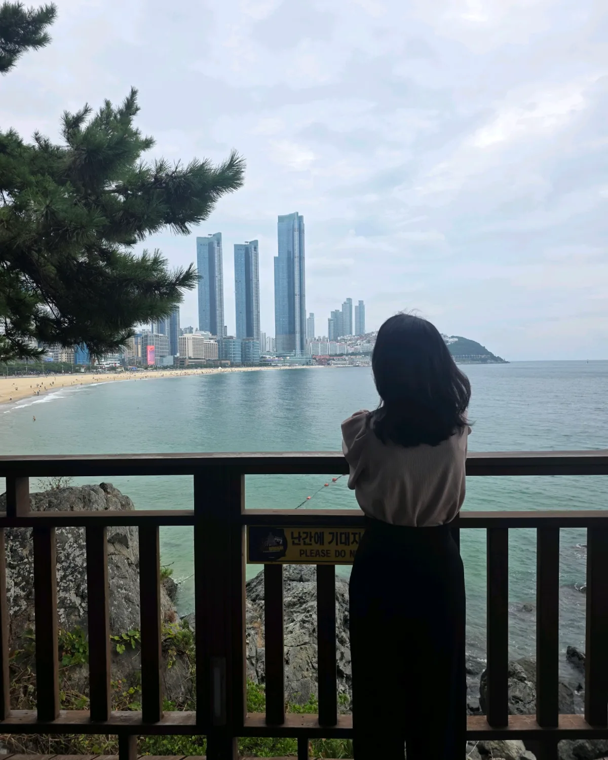 松越しに望む海岸と高層街