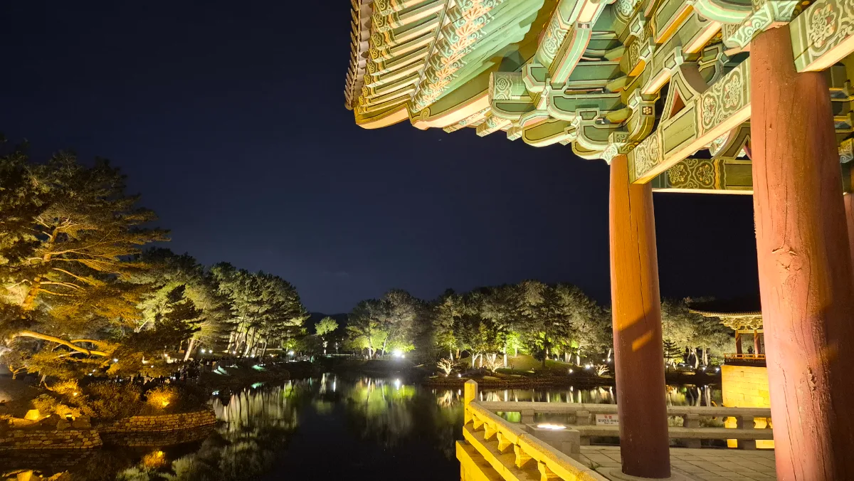 彩色軒越しに望む夜の池