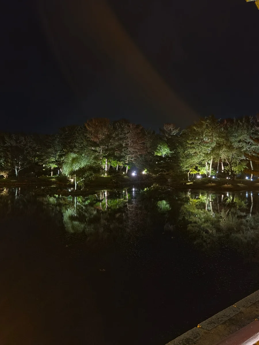 夜の池に映る木々の照明