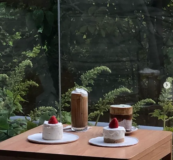 緑の窓辺に並ぶケーキと飲み物