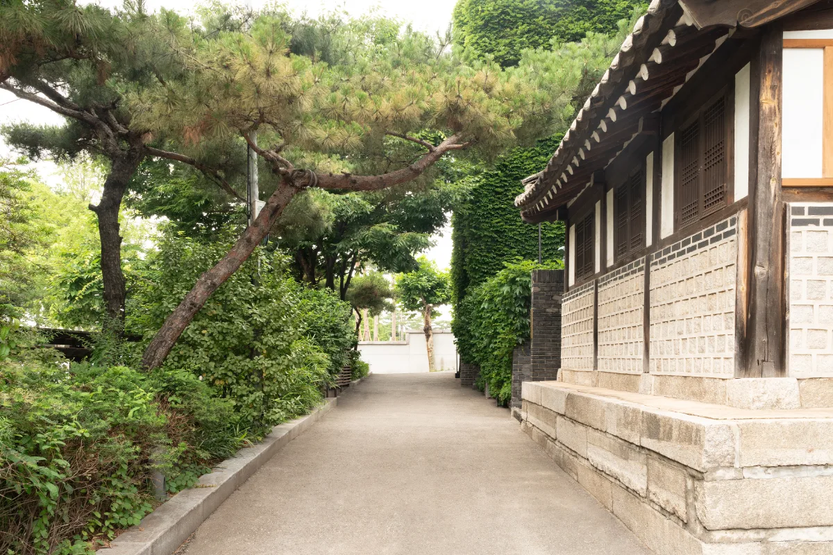 松と韓屋に挟まれた小径