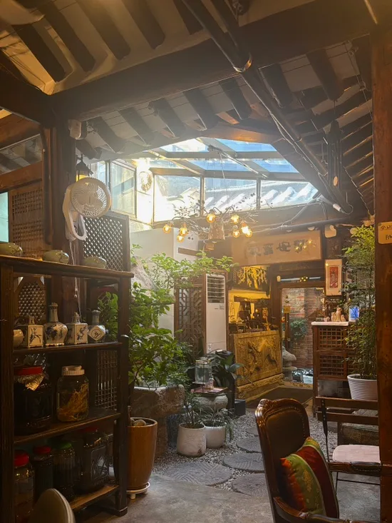 植木と灯りに囲まれた中庭