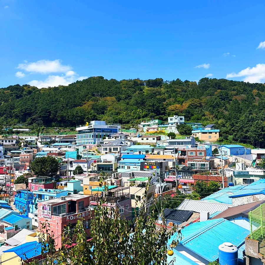 色鮮やかな屋根と緑の丘
