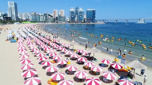 広安里海水浴場 — パラソルが並ぶ夏の砂浜