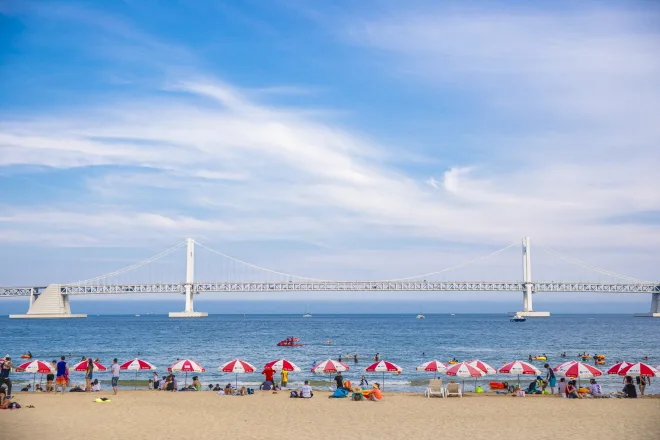 砂浜から望む白い大橋