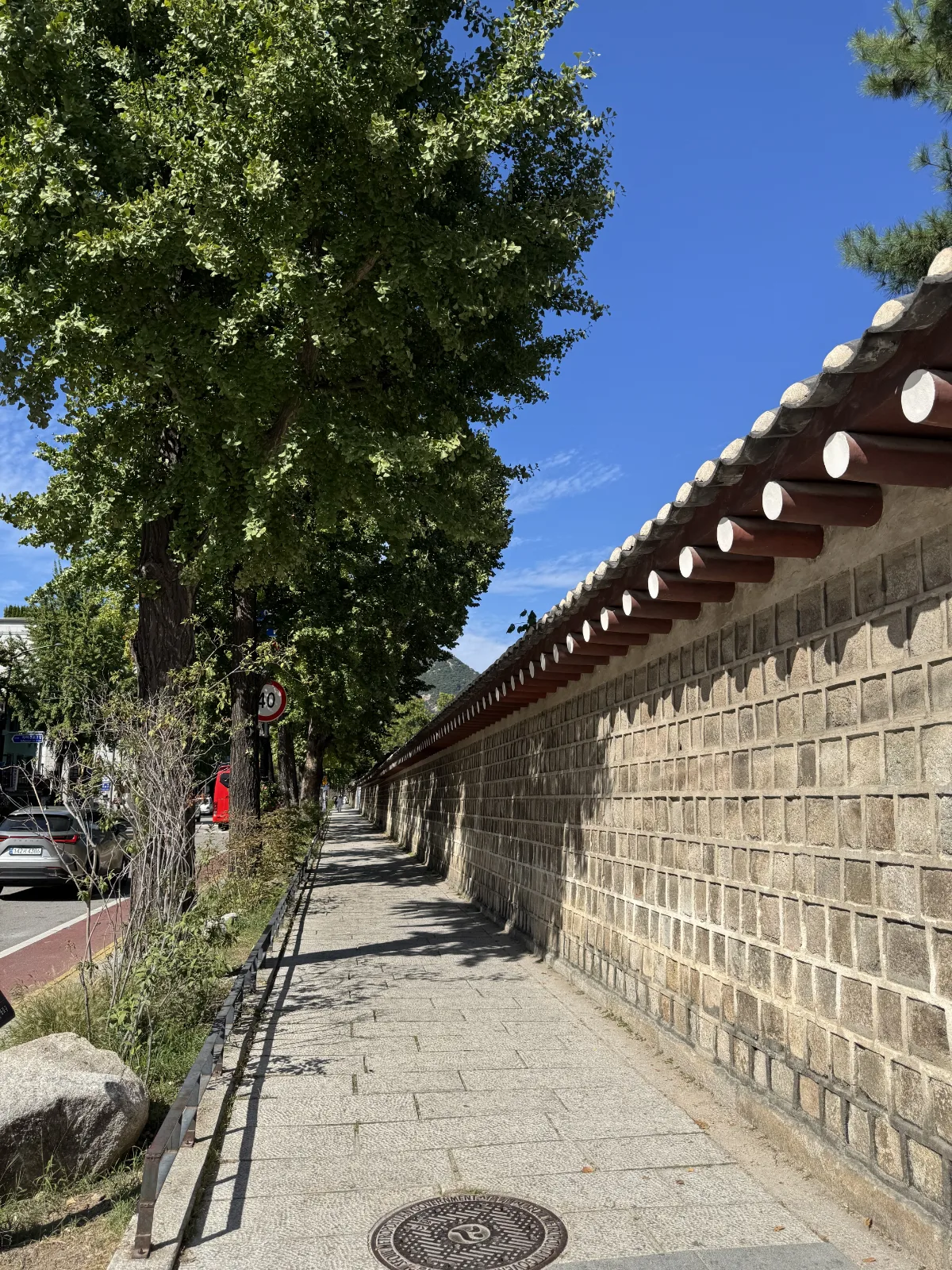 銀杏並木に続く石塀の道