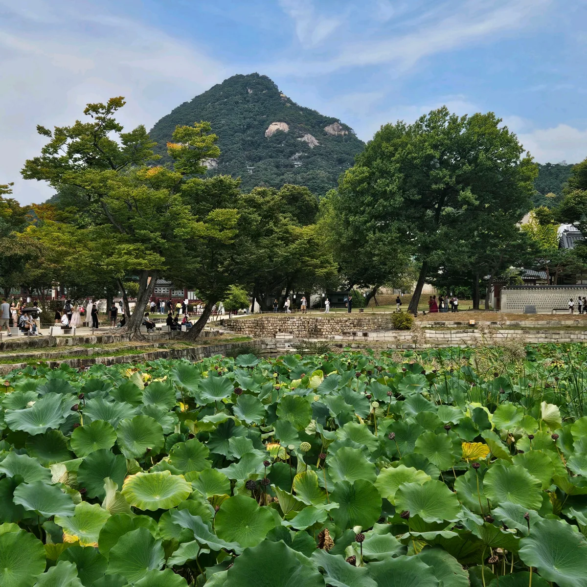 蓮池越しに望む北岳山