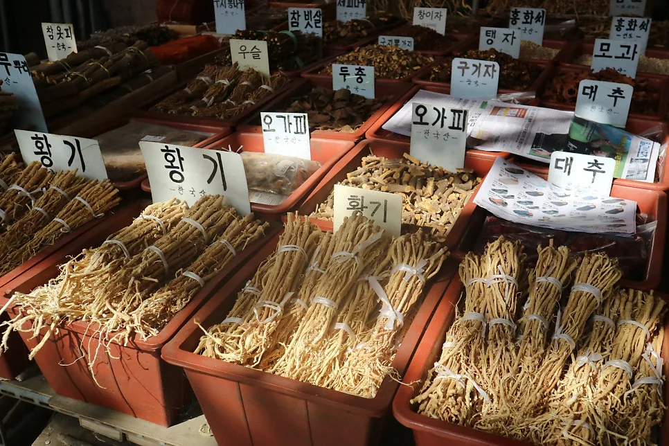 黄耆やクコの実が並ぶ薬材店