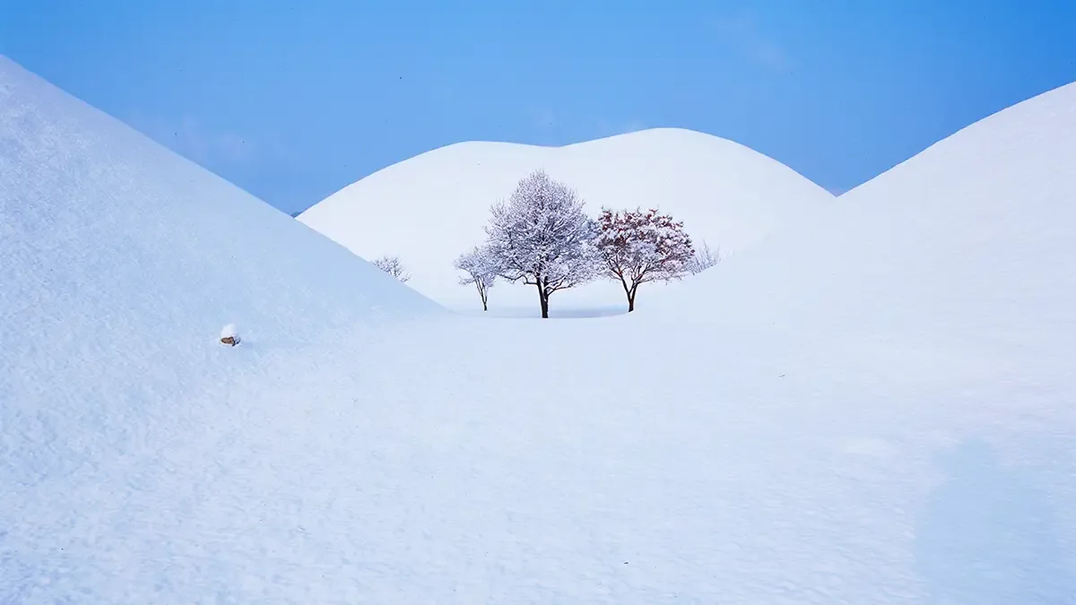 雪化粧した古墳と三本の木