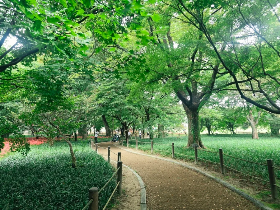 木陰を曲がる散策路