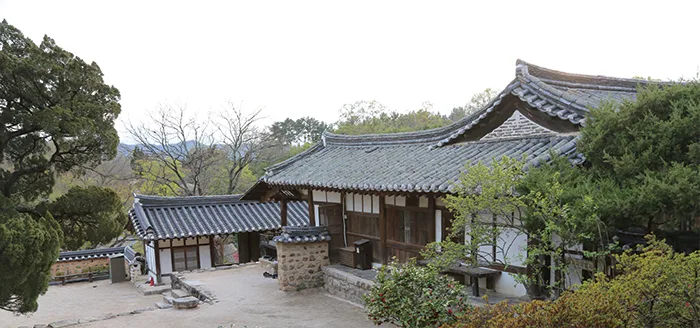 木々に囲まれた書百堂の瓦屋根